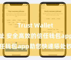 Trust Wallet正规下载地址 安全高效的信任钱包app助您快速惩处钞票